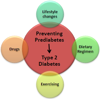 Role of Structured Diets in Prediabetic Adolescents